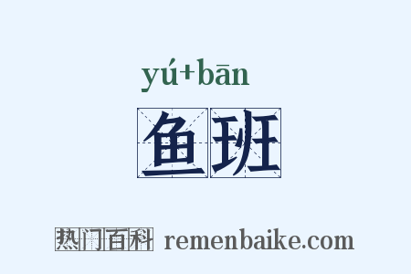 鱼班是什么意思的图片